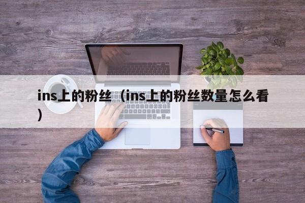 ins上的粉丝（ins上的粉丝数量怎么看） 第1张