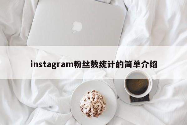 instagram粉丝数统计的简单介绍 第1张 instagram粉丝数统计的简单介绍 第1张
