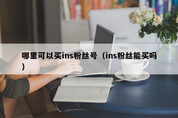哪里可以买ins粉丝号（ins粉丝能买吗） 第1张