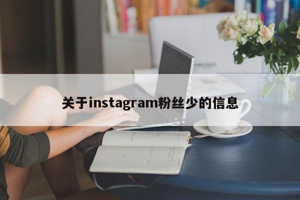 关于instagram粉丝少的信息 第1张