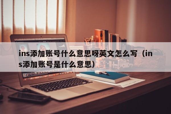 ins添加账号什么意思呀英文怎么写（ins添加账号是什么意思） 第1张