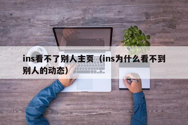 ins看不了别人主页（ins为什么看不到别人的动态） 第1张