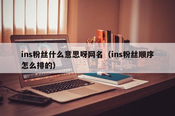 ins粉丝什么意思呀网名（ins粉丝顺序怎么排的） 第1张