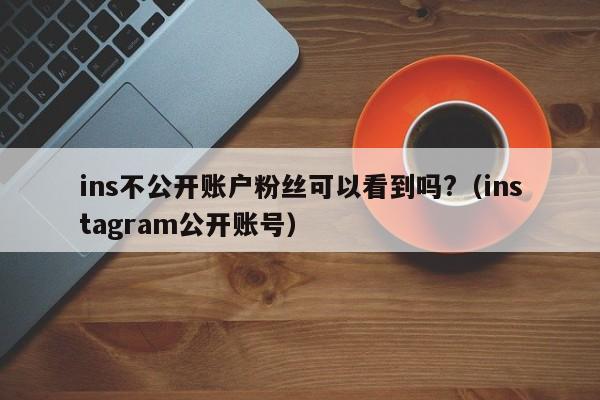 ins不公开账户粉丝可以看到吗?（instagram公开账号） 第1张