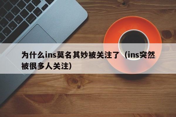 为什么ins莫名其妙被关注了（ins突然被很多人关注） 第1张