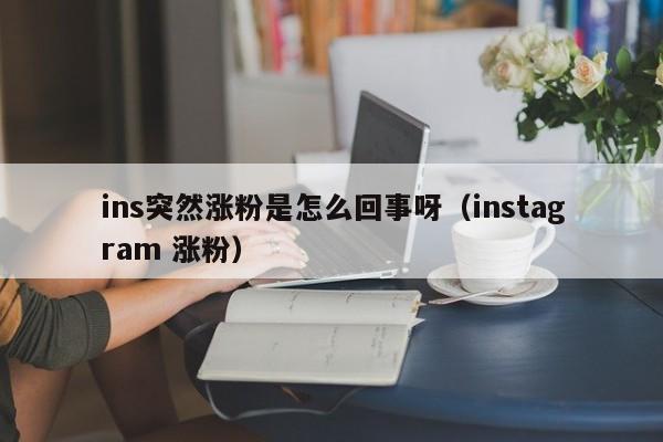 ins突然涨粉是怎么回事呀（instagram 涨粉） 第1张