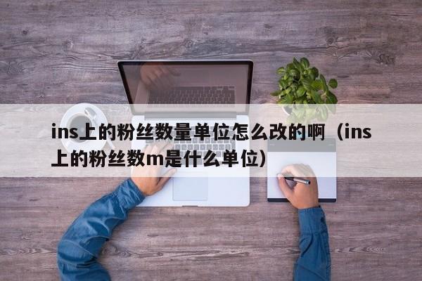 ins上的粉丝数量单位怎么改的啊（ins上的粉丝数m是什么单位） 第1张