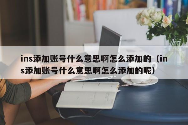 ins添加账号什么意思啊怎么添加的（ins添加账号什么意思啊怎么添加的呢） 第1张