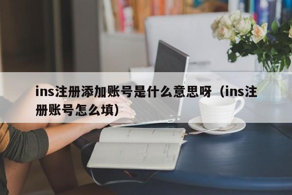 ins注册添加账号是什么意思呀(ins注册账号怎么填) 第1张 ins注册添加账号是什么意思呀(ins注册账号怎么填) 第1张