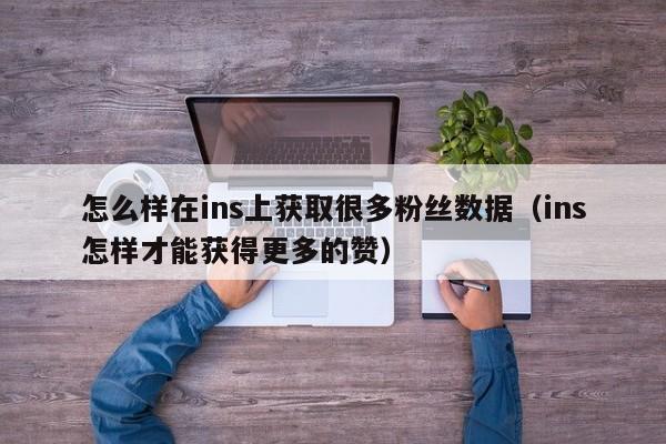 怎么样在ins上获取很多粉丝数据（ins怎样才能获得更多的赞） 第1张
