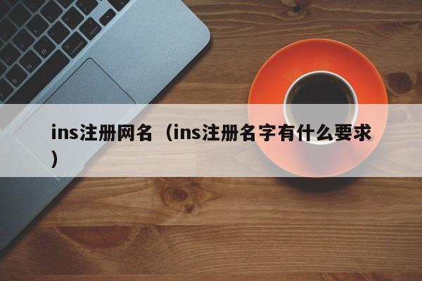 ins注册网名（ins注册名字有什么要求） 第1张