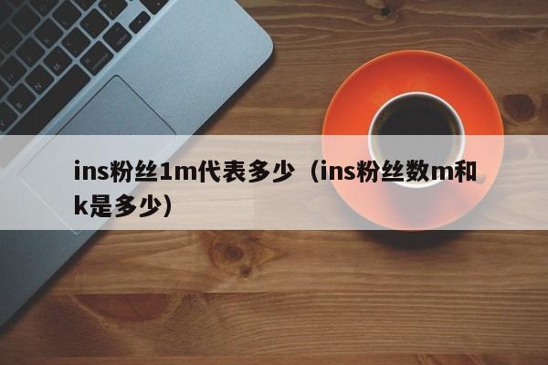 ins粉丝1m代表多少（ins粉丝数m和k是多少） 第1张