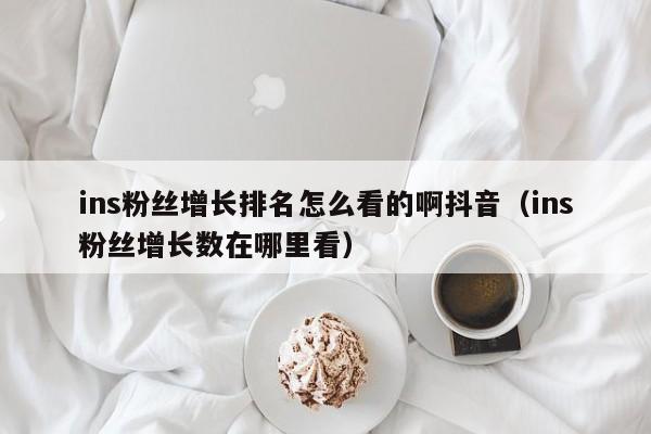 ins粉丝增长排名怎么看的啊抖音（ins粉丝增长数在哪里看） 第1张