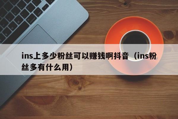 ins上多少粉丝可以赚钱啊抖音（ins粉丝多有什么用） 第1张