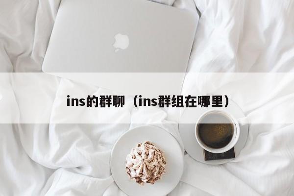ins的群聊（ins群组在哪里） 第1张