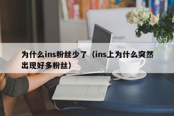 为什么ins粉丝少了(ins上为什么突然出现好多粉丝) 第1张 为什么ins粉丝少了(ins上为什么突然出现好多粉丝) 第1张