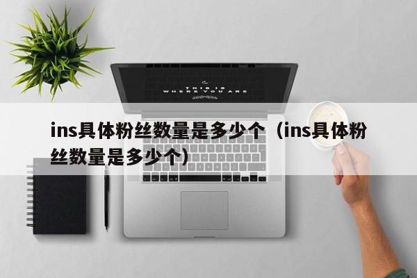 ins具体粉丝数量是多少个（ins具体粉丝数量是多少个） 第1张