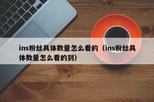 ins粉丝具体数量怎么看的（ins粉丝具体数量怎么看的到） 第1张