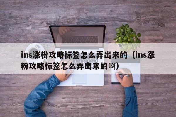 ins涨粉攻略标签怎么弄出来的(ins涨粉攻略标签怎么弄出来的啊) 第1张 ins涨粉攻略标签怎么弄出来的(ins涨粉攻略标签怎么弄出来的啊) 第1张