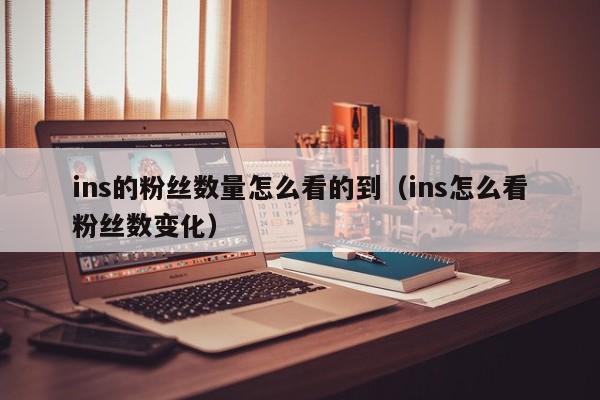 ins的粉丝数量怎么看的到（ins怎么看粉丝数变化） 第1张