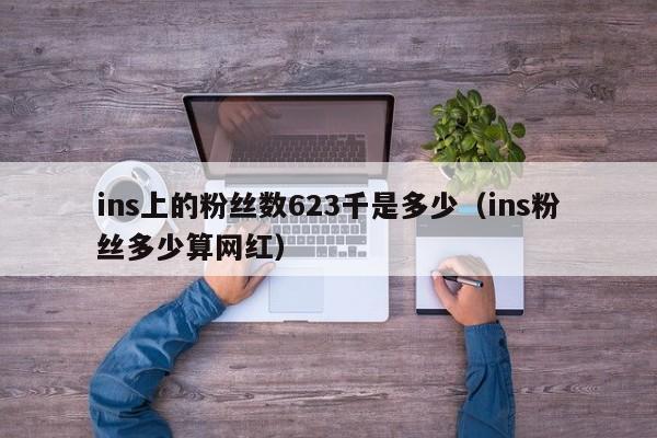 ins上的粉丝数623千是多少（ins粉丝多少算网红） 第1张