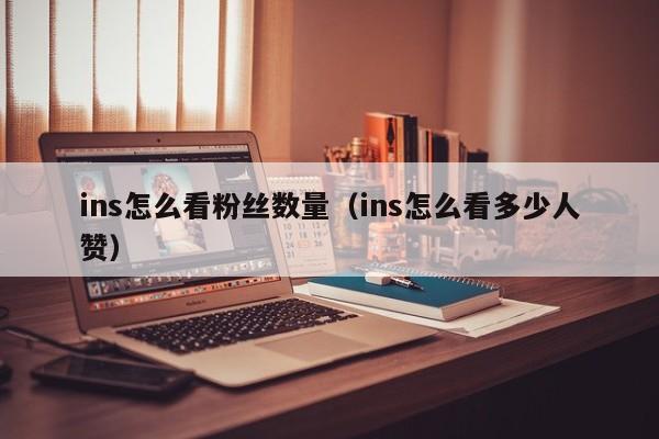 ins怎么看粉丝数量（ins怎么看多少人赞） 第1张