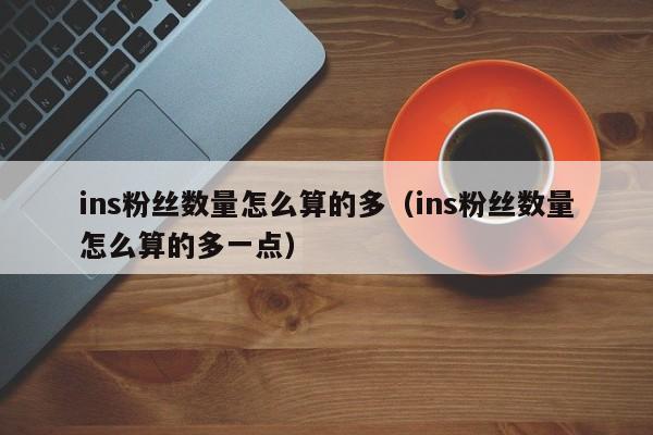 ins粉丝数量怎么算的多（ins粉丝数量怎么算的多一点） 第1张