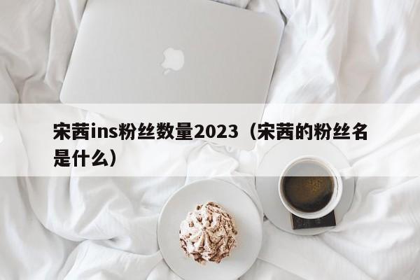 宋茜ins粉丝数量2023(宋茜的粉丝名是什么) 第1张 宋茜ins粉丝数量2023(宋茜的粉丝名是什么) 第1张