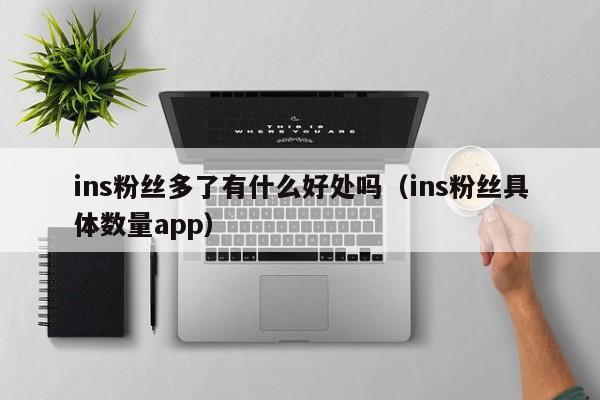 ins粉丝多了有什么好处吗（ins粉丝具体数量app） 第1张