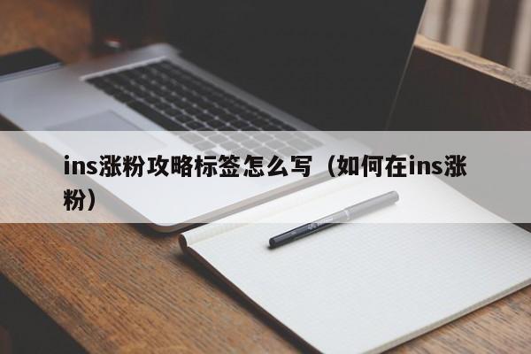 ins涨粉攻略标签怎么写（如何在ins涨粉） 第1张