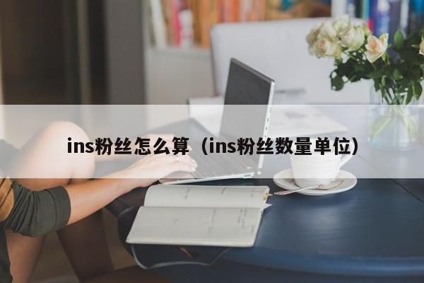 ins粉丝怎么算(ins粉丝数量单位) 第1张 ins粉丝怎么算(ins粉丝数量单位) 第1张
