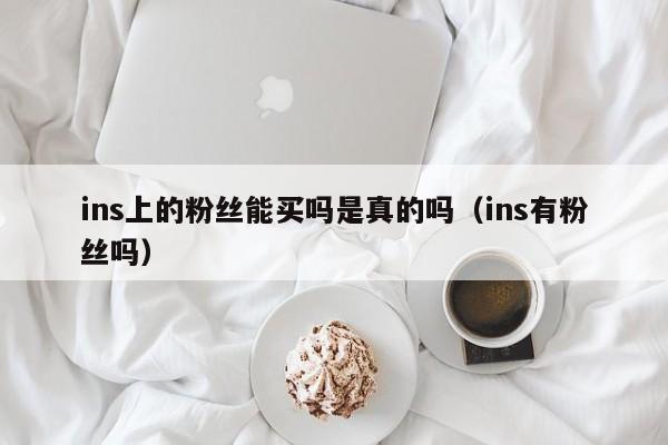 ins上的粉丝能买吗是真的吗（ins有粉丝吗） 第1张