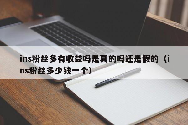 ins粉丝多有收益吗是真的吗还是假的（ins粉丝多少钱一个） 第1张