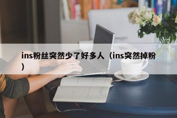ins粉丝突然少了好多人(ins突然掉粉) 第1张 ins粉丝突然少了好多人(ins突然掉粉) 第1张