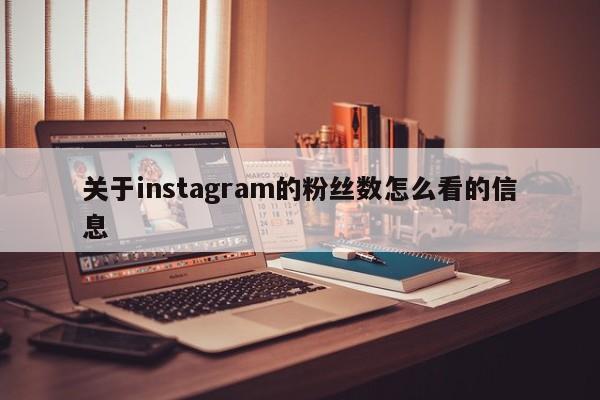 关于instagram的粉丝数怎么看的信息 第1张