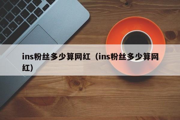 ins粉丝多少算网红（ins粉丝多少算网红） 第1张