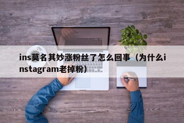 ins莫名其妙涨粉丝了怎么回事（为什么instagram老掉粉） 第1张