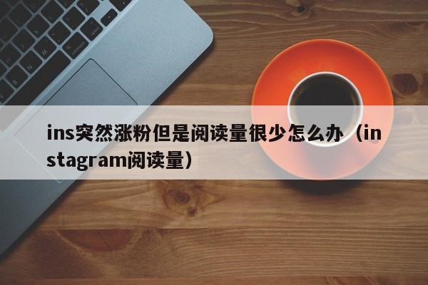 ins突然涨粉但是阅读量很少怎么办(instagram阅读量) 第1张 ins突然涨粉但是阅读量很少怎么办(instagram阅读量) 第1张