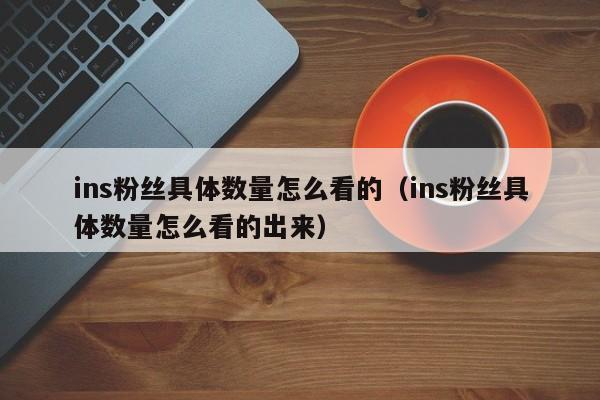 ins粉丝具体数量怎么看的（ins粉丝具体数量怎么看的出来） 第1张