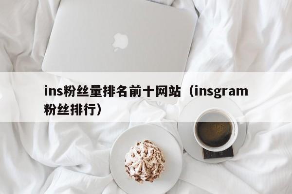 ins粉丝量排名前十网站（insgram粉丝排行） 第1张