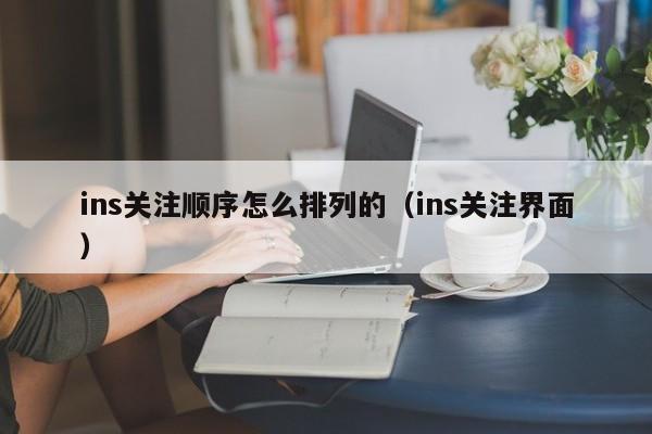 ins关注顺序怎么排列的（ins关注界面） 第1张