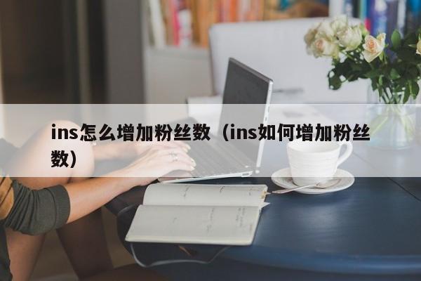 ins怎么增加粉丝数（ins如何增加粉丝数） 第1张