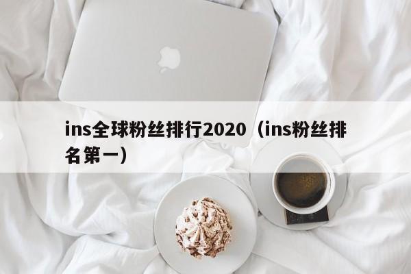 ins全球粉丝排行2020（ins粉丝排名第一） 第1张