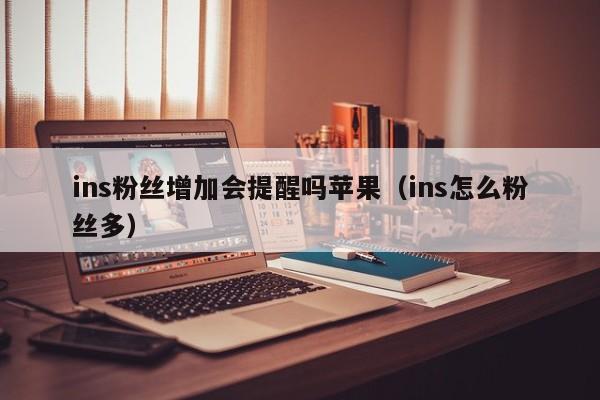 ins粉丝增加会提醒吗苹果（ins怎么粉丝多） 第1张