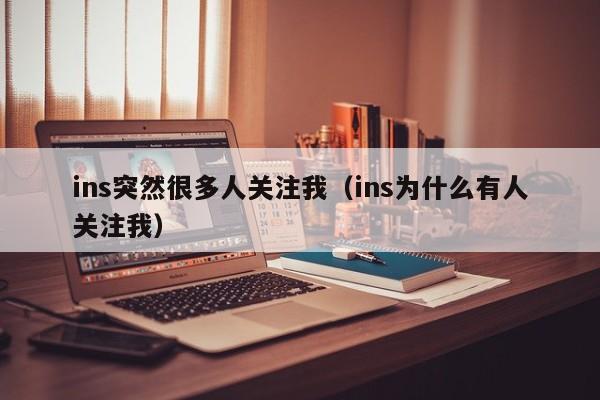 ins突然很多人关注我（ins为什么有人关注我） 第1张