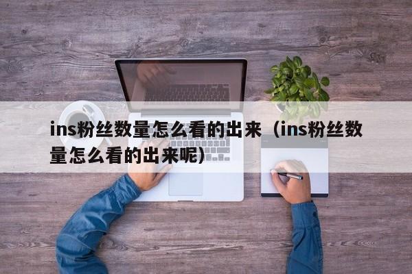 ins粉丝数量怎么看的出来（ins粉丝数量怎么看的出来呢） 第1张