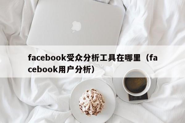 facebook受众分析工具在哪里(facebook用户分析) 第1张 facebook受众分析工具在哪里(facebook用户分析) 第1张