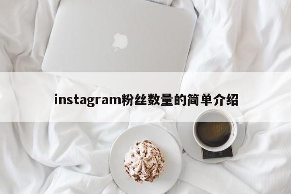 instagram粉丝数量的简单介绍 第1张