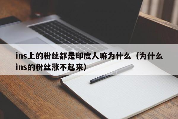 ins上的粉丝都是印度人嘛为什么（为什么ins的粉丝涨不起来） 第1张