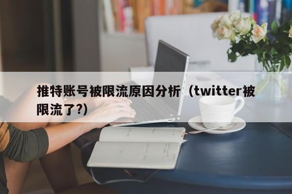 推特账号被限流原因分析(twitter被限流了?) 第1张 推特账号被限流原因分析(twitter被限流了?) 第1张